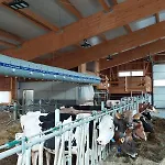 Zillerlehen Apartament *