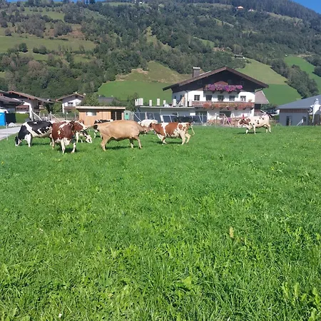Zillerlehen