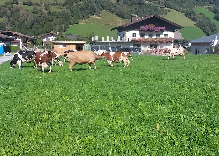Zillerlehen