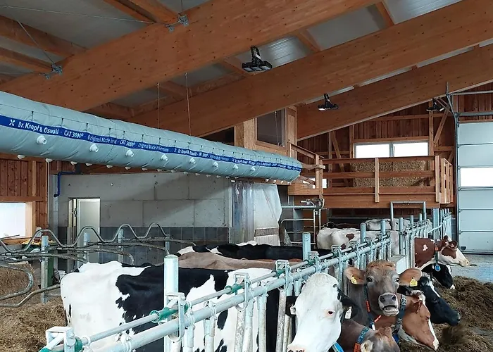 Zillerlehen شقة *